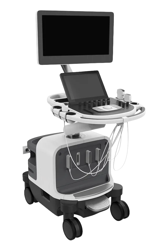 Breast Ultrasound Training Course