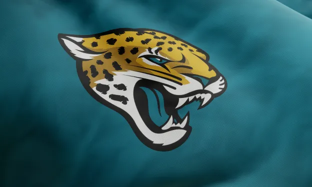 Jacksonville Jaguars Ultrasound Training for Team Traininers