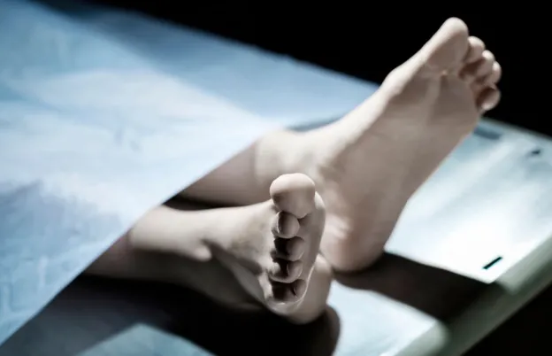 Forensic Radiology Part 2: Death's Mystery Unlocked