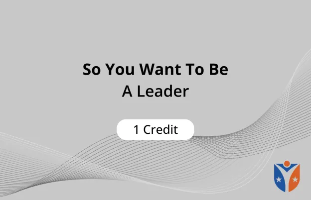 So You Want To Be A Leader