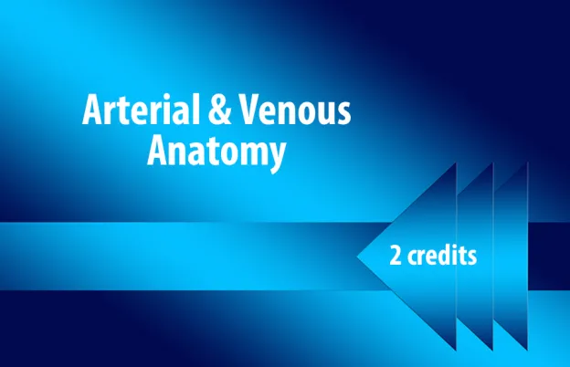 Arterial & Venous Anatomy 