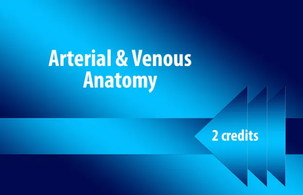 Arterial & Venous Anatomy 