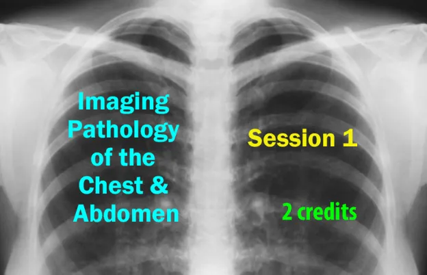 Imaging Pathology of the Chest and Abdomen - Session 1