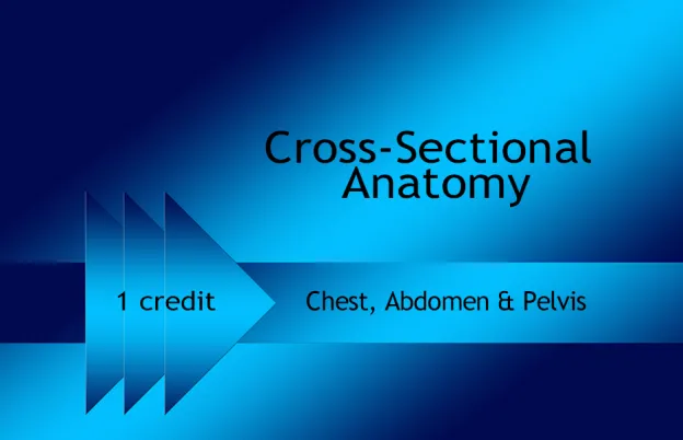 Cross-Sectional Anatomy- Chest, Abdomen, & Pelvis